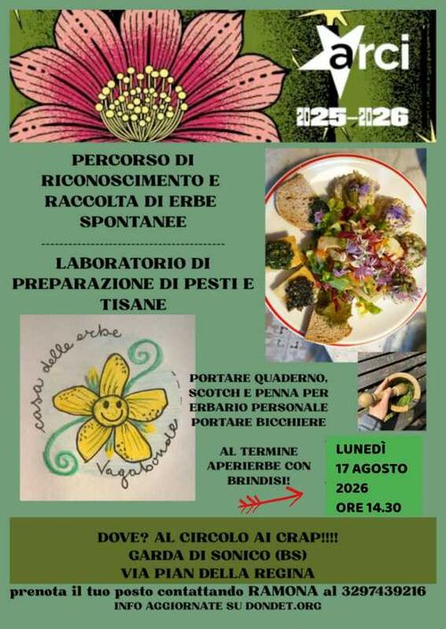 RACCOLTA DI ERBE SPONTANEE - PREPARAZIONE DI PESTI E TISANE