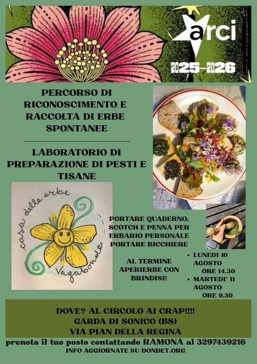 ALLA SCOPERTA DELLE ERBE SPONTANEE - PREPARAZIONE DI PESTI E TISANE