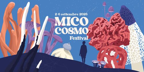 MicoCosmo Festivla