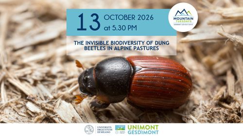 The invisible biodiversity of dung beetles in Alpine pastures