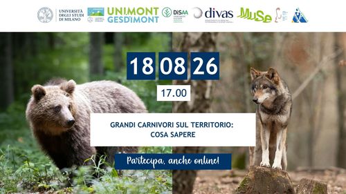 Grandi carnivori sul territorio: cosa sapere